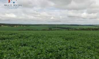 Imagem 4: Fazenda região Itapetininga SP