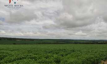 Imagem 3: Fazenda região Itapetininga SP