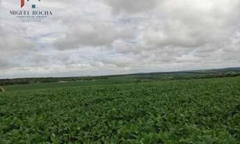 Imagem: Fazenda região Itapetininga SP