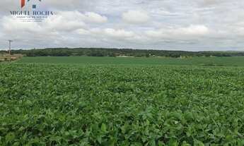 Imagem 5: Fazenda região Itapetininga SP