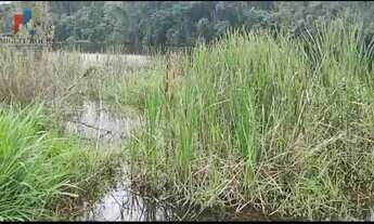 Imagem 6: Fazenda região Itapetininga SP