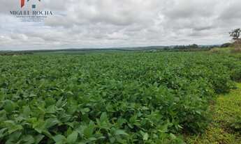 Imagem 2: Fazenda região Itapetininga SP