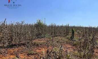 Imagem 4: Sítio em Centro, Tietê/SP