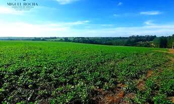 Imagem: Sítio em Centro, Tietê/SP