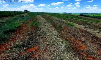 Imagem 2: Sítio em Centro, Tietê/SP