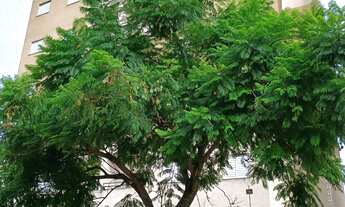 Imagem: Apartamento a venda em Tatuí SP