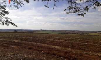 Imagem: Fazenda Região de Tiête SP