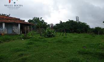 Imagem 6: Sítio em Centro, Quadra/SP