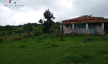 Imagem 3: Sítio em Centro, Quadra/SP