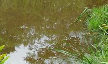Imagem 5: Sítio à venda no bairro Centro - Tatuí/SP