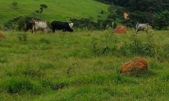 Imagem 2: Sítio à venda no bairro Centro - Tatuí/SP