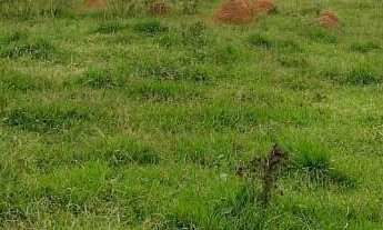 Imagem: Sítio à venda no bairro Centro - Tatuí/SP