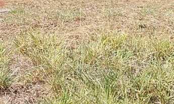 Imagem: Terreno em Loteamento em Europark, Tatuí/SP