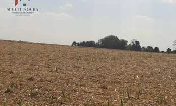 Imagem: Sítio a venda Cesário Lange SP