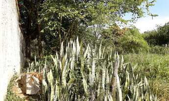 Imagem 2: Terreno-para-Venda-em-Vila-Americana-Tatui-SP