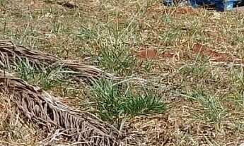 Imagem: Terreno em Loteamento em Europark, Tatuí/SP