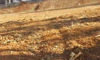 Imagem 2: Terreno em Tatuí SP