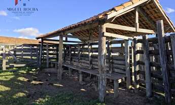 Imagem: Fazenda em Itapetininga SP