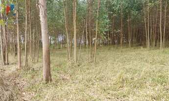 Imagem: Sítio região Itapetininga SP