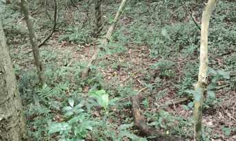 Imagem: Chácara em Centro, Quadra/SP