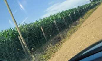 Imagem 5: Chácara em Centro, Quadra/SP