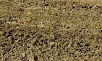 Imagem: Fazenda região de Itapetininga SP