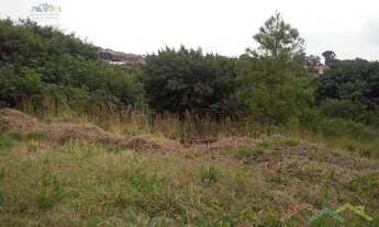 Imagem 6: Terreno-Lote-para-Venda-em-Jardim-San-Raphael-Tatui-SP