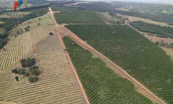 Imagem: Fazenda região de Itapetininga SP