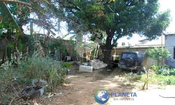 Imagem: Lote 360m² plano Santa Branca