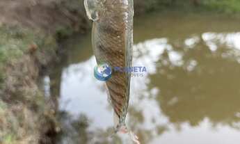 Imagem 7: Terreno 40.000m² Jabuticatubas