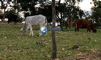 Imagem 5: Terreno 40.000m² Jabuticatubas