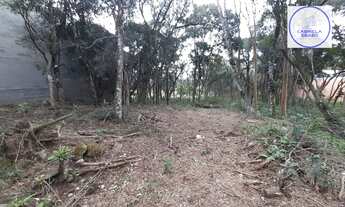 Imagem 3: Terreno em São Virgílio, Caxias do Sul/RS