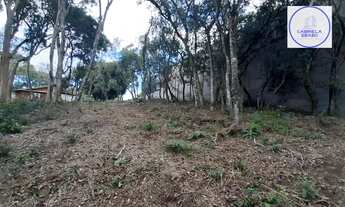 Imagem 4: Terreno em São Virgílio, Caxias do Sul/RS