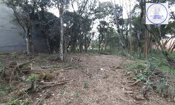 Imagem 2: Terreno em São Virgílio, Caxias do Sul/RS