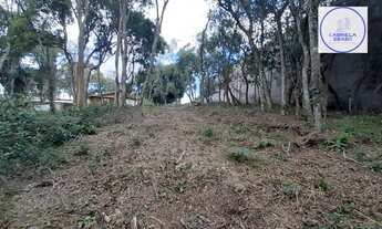 Imagem 5: Terreno em São Virgílio, Caxias do Sul/RS