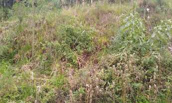 Imagem 2: Terreno em Cruzeiro, Caxias do Sul/RS