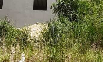 Imagem 6: Terreno em Cruzeiro, Caxias do Sul/RS