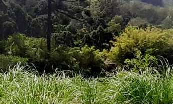 Imagem 4: Terreno em Cruzeiro, Caxias do Sul/RS