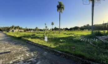 Imagem 6: Terreno à venda no bairro Loteamento Boa Vista - São Sebastião do Caí/RS