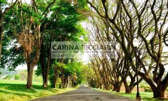 Imagem: Fazenda Serra Azul II Terreno à Venda