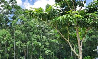 Imagem: Terreno em Tamboré, 590m² - Santana de