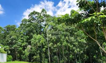 Imagem 6: Terreno em Tamboré, 590m² - Santana de Parnaíba/SP