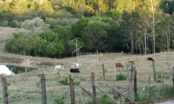Imagem 5: Sítio à venda com 40.000 m², 2 dormitórios, sala de estar, cozinha e banheiro em Itu/SP