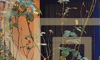 Imagem 3: Prédio Comercial em Jardim Iracema, São Paulo/SP