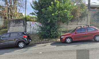 Imagem 3: Oportunidade Única no Jardim Botânico