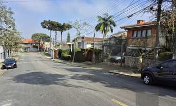 Imagem 2: Oportunidade Única no Jardim Botânico