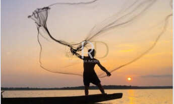 Imagem: Apartamento à venda no bairro Palmeiras