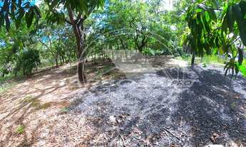 Imagem 7: Chácara com 8 mil metros de área em Caldas Novas