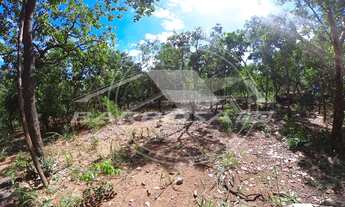 Imagem 6: Chácara com 8 mil metros de área em Caldas Novas