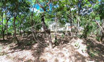 Imagem 5: Chácara com 8 mil metros de área em Caldas Novas